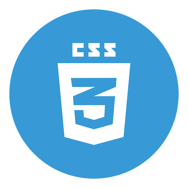 css logo